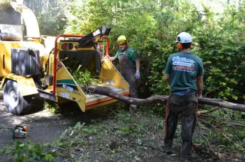 tree services Pembroke